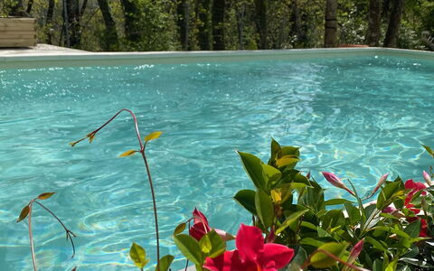 Villa La Casa Bianca: Vand, Blomst, Plante, Plantesamfund, Grøn, Naturlige Landskab, Terrestrisk Plant, Vegetationen, Kronblad, Vandløb