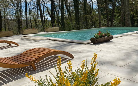 Villa La Casa Bianca: Blomst, Plante, Himmel, Blad, Naturlige Landskab, Vegetationen, Træ, Gul, Græs, Vedplante