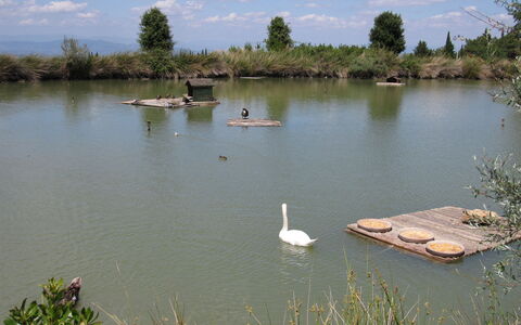 La Rimessa: Krop Af Vand, Vandressourcer, Naturlige Landskab, Vand, Dam, Bank, Reservoir, Naturreservat, Sø