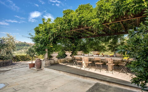 Villa Alfresco: Have, Skygge, Blomsterkrukke, Flise, Udendørs Struktur, Stueplante