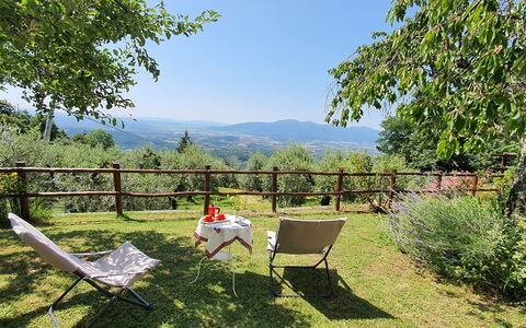 La Casa Del Sole: Plante, Himmel, Plantesamfund, Blad, Naturlige Landskab, Træ, Stol, Udendørs Møbler, Land Lot, Skygge