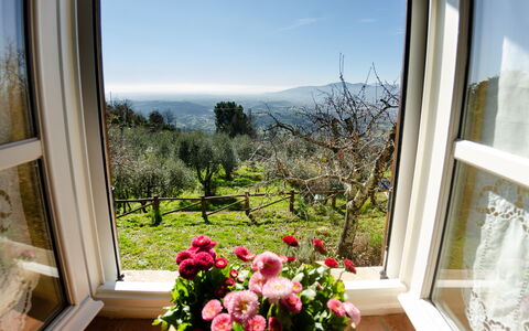 La Casa Del Sole: Ejendom, Værelse, Vindue, Hus, Hjem, Blomst, Bygning, Plante, Indretning, Ejendom