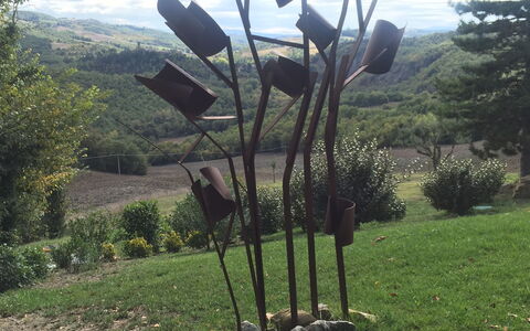 Casale De Conti: Skulptur, Træ, Kunst, Botanik, Plante, Græs, Parkere, Nonbuilding Struktur, Metal