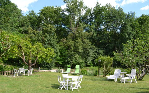 Agriturismo Il Giaggiolo without Pool: Træ, Have, Ejendom, Lawn, Backyard, Græs, Gård, Vedplante, Plante, Hus