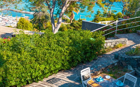 Il Giardino Sul Mare - Levanto: Træ, Ejendom, Have, Ejendom, Busk, Plante, Botanik, Vedplante, Landskab, Gård