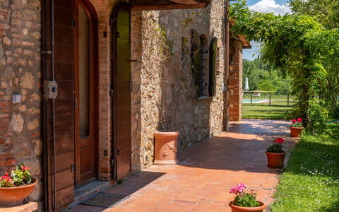 Podere a Lafi: Plante, Blomsterkrukke, Bygning, Stueplante, Blomst, Træ, Dør, Mursten, Murværk, Kvarter