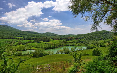 Tenuta Di Spineto