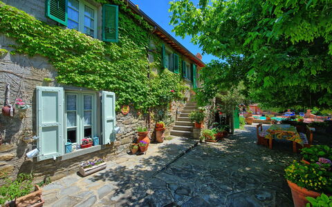 Casale San Martino: Ejendom, Hus, Gård, Bygning, Stad, Hjem, Have, Backyard, Ejendom, Kvarter