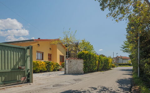 Mauro: Plante, Himmel, Sky, Bygning, Ejendom, Træ, Vejbelægning, Asfalt, Land Lot, Hus