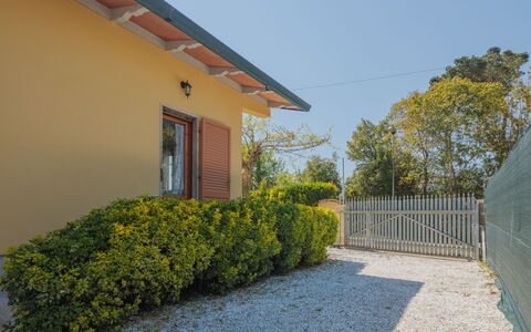 Mauro: Plante, Himmel, Bygning, Vindue, Vejbelægning, Land Lot, Hegn, Græs, Sommerhus, Træ