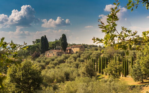 Villa Poggiospinoso: Naturlige Landskab, Natur, Himmel, Vegetationen, Træ, Sky, Naturligt Miljø, Ødemark, Biome, Naturreservat
