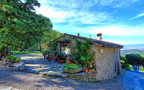 Villa Ancora: Plante, Hus, Maling, Landdistrikt, Kunst, Have, Sommerhus, Blomsterkrukke, Akvarel, Landsby