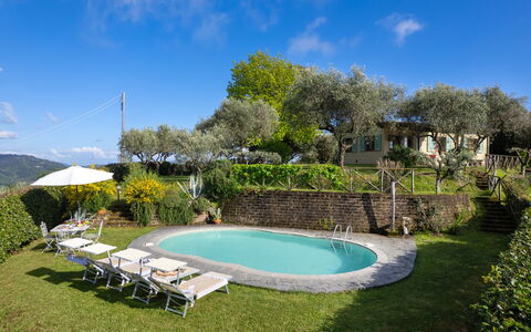 Villa Elisa: Svømmepøl, Udendørs Møbler, Udvej, Estate, Have, Hacienda, Eco Hotel, Sommerhus, Backyard, Gård