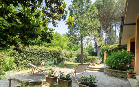 Villa Del Mugello: Plante, Ejendom, Bygning, Blomsterkrukke, Skygge, Træ, Vegetationen, Himmel, Græs, Stueplante