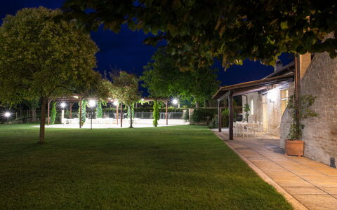 Villa Papiano: Plante, Bygning, Natur, Vejbelægning, Træ, Arkitektur, Skygge, Græs, Vindue, City