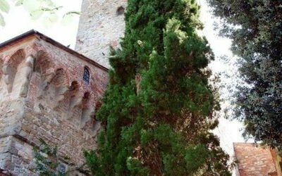 Tower: Bygning, Ejendom, Vindue, Plante, Himmel, Træ, Facade, Milepæl, Hus, Græs