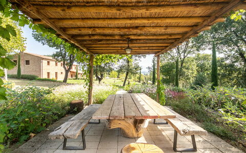 Fonte Della Chiana: Plante, Natur, Skygge, Træ, Vindue, Botanik, Træ, Græs, Vegetationen, Biome