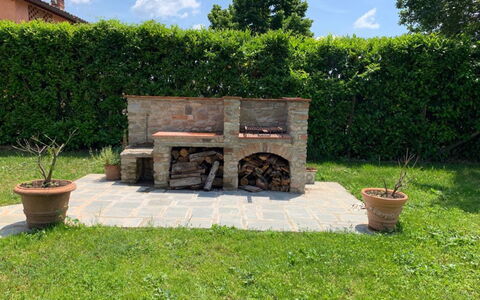 Il Pozzo Di San Barnaba: Plante, Himmel, Ejendom, Sky, Blomsterkrukke, Grøn, Land Lot, Græs, Træ, Stol