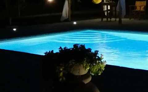 Il Pozzo Di San Barnaba: Vand, Plante, Blomsterkrukke, Lys, Stueplante, Himmel, Indretning, Rektangel, Svømmepøl, Græs