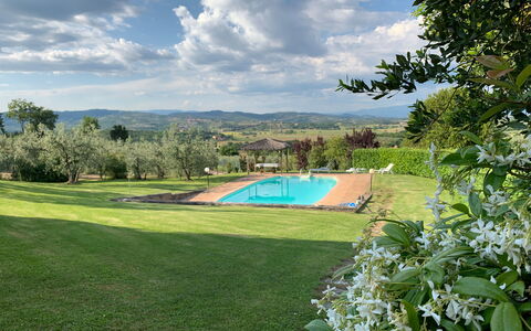 San Lorenzo: Sky, Himmel, Plante, Vand, Naturlige Landskab, Træ, Svømmepøl, Vegetationen, Land Lot, Græs