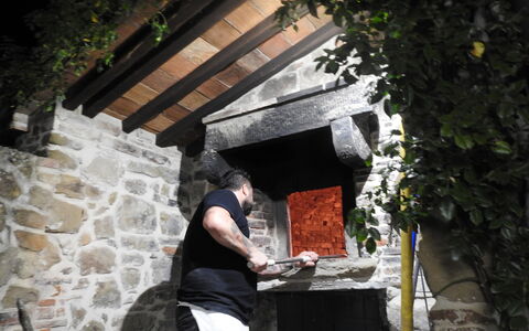 San Lorenzo: Plante, Træ, Toner Og Skygger, Fritid, Tag, Træ, Sommerhus, Rots