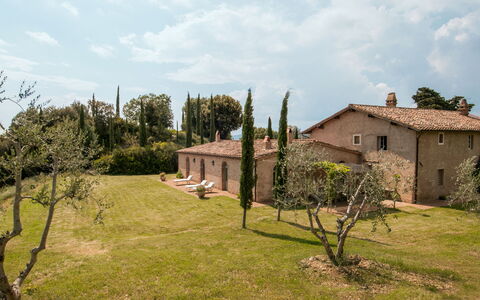 Lavacchio 10: Plante, Himmel, Sky, Økoregion, Vindue, Træ, Land Lot, Bygning, Naturlige Landskab, Græs