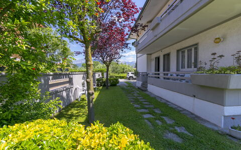 Pontremoli Apartments: Plante, Daytime, Himmel, Bygning, Botanik, Natur, Træ, Gul, Blomst, Vegetationen