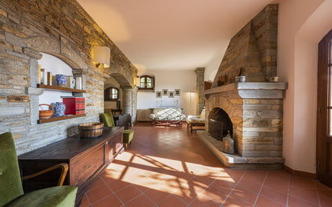 Villa Montignoso: Møbel, Billedramme, Stol, Couch, Træ, Stueplante, Plante, Hal, Stue, Bord