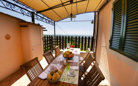 Alla Collina Del Sole: Bygning, Bord, Ejendom, Plante, Møbel, Bordservice, Stol, Vindue, Træ, Stueplante