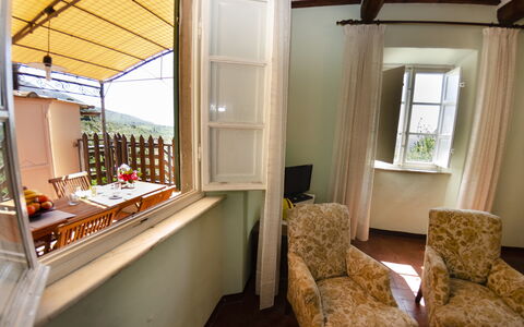 Alla Collina Del Sole: Møbel, Vindue, Bygning, Træ, Stue, Indretning, Skygge, Lampe, Couch, Gardin