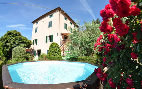 Alla Collina Del Sole: Blomst, Vand, Himmel, Plante, Ejendom, Daytime, Sky, Grøn, Bygning, Blå