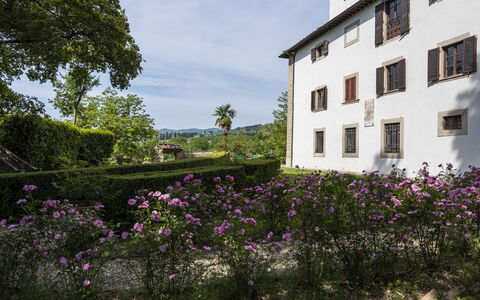 Villa Vigliano: Blomst, Himmel, Plante, Bygning, Sky, Ejendom, Vindue, Purple, Vegetationen, Træ