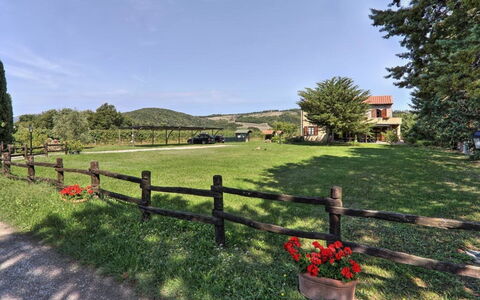 Villa Le Selvole: Himmel, Plante, Sky, Træ, Naturlige Landskab, Hegn, Land Lot, Græs, Busk
