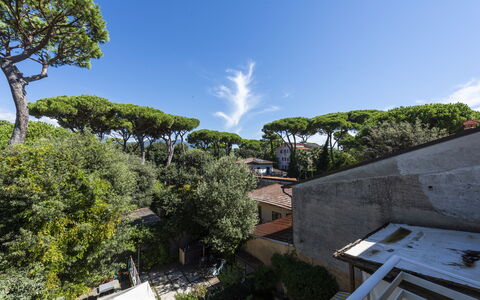 Residenza Morin: Sky, Himmel, Plante, Bygning, Træ, Urban Design, Arecales, Landskab, Cumulus, Græs