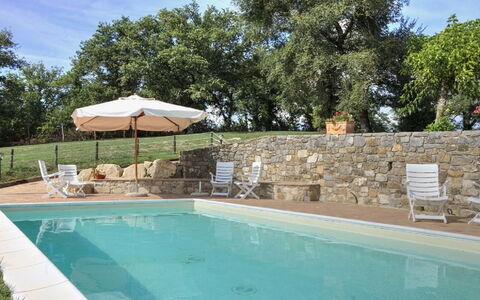 Villa Di Gaiole: Vand, Plante, Svømmepøl, Himmel, Azure, Træ, Stol, Skygge, Sky, Krop Af Vand