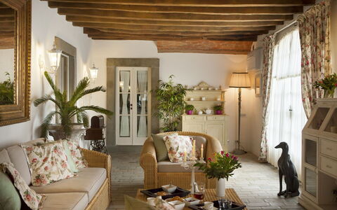 Chianti Fornace 1: Plante, Ejendom, Stueplante, Couch, Indretning, Etage, Stue, Ejendom, Træ, Skygge