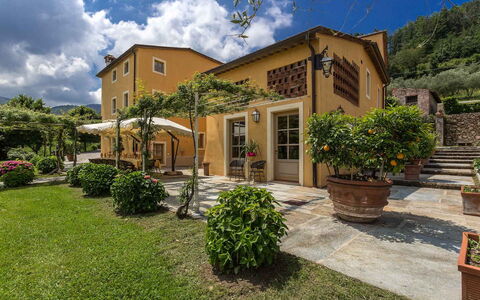 Villa Castellaccio: Plante, Himmel, Sky, Ejendom, Bygning, Vindue, Land Lot, Hus, Vegetationen, Træ