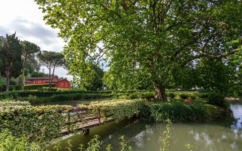 Villa Guasperini: Vand, Plante, Grøn, Naturlige Landskab, Træ, Sky, Vandløb, Krop Af Vand, Sø, Bank