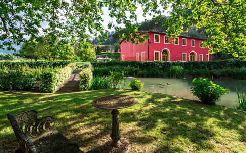 Villa Guasperini: Plante, Bygning, Vindue, Natur, Blad, Træ, Naturlige Landskab, Vegetationen, Hus, Land Lot