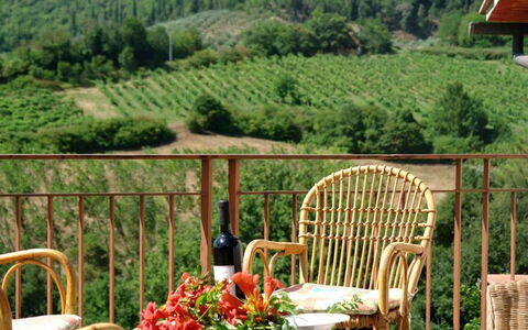 Tenuta Le Sodole: Plante, Møbel, Himmel, Ejendom, Sky, Stol, Blomst, Grøn, Blad, Natur