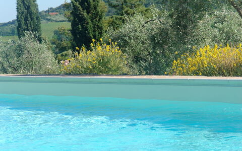 Feriebolig:&nbsp;Papavero Holiday Home