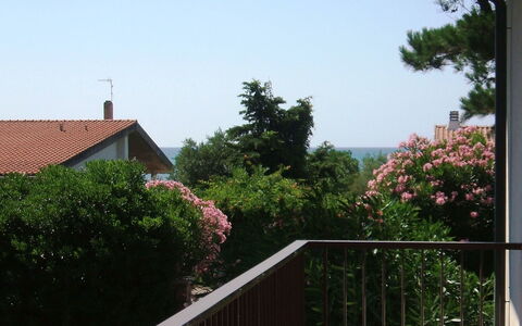 Casa Argentario: Plante, Bygning, Himmel, Ejendom, Blomst, Træ, Træ, Hus, Boligområde, Ejendom