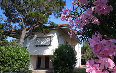 Casa Argentario: Blomst, Plante, Himmel, Daytime, Vindue, Bygning, Natur, Botanik, Træ, Afdeling