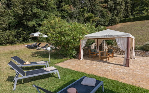 Chianti Resort: Plante, Plantesamfund, Telt, Udendørs Møbler, Træ, Skygge, Udendørs Bench, Bord, Græs, Fritid