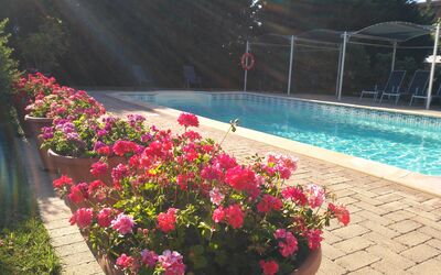 Il Casale Di Quirina: Blomst, Vand, Plante, Kronblad, Blomsterkrukke, Botanik, Træ, Landskab, Svømmepøl, Bunddække