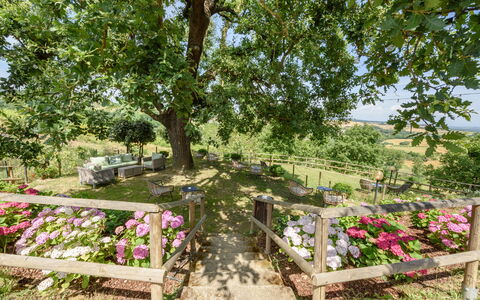 Villa Varna: Blomst, Plante, Plantesamfund, Træ, Kronblad, Naturlige Landskab, Blomsterkrukke, Græs, Bunddække, Busk