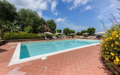 Villa Varna: Vand, Plante, Sky, Himmel, Ejendom, Svømmepøl, Krop Af Vand, Træ, Blomst, Skygge