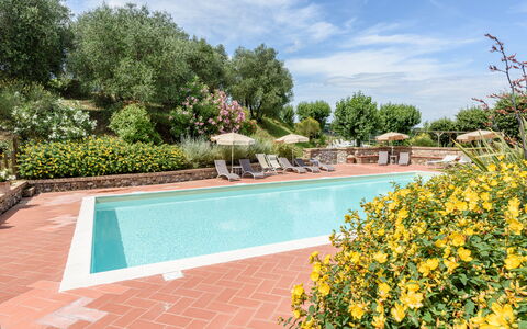 Villa Varna: Vand, Sky, Himmel, Plante, Svømmepøl, Blomst, Træ, Krop Af Vand, Græs, Fritid