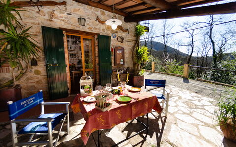 Le Piane: Plante, Bord, Møbel, Blomsterkrukke, Stol, Stueplante, Træ, Træ, Bygning, Indretning