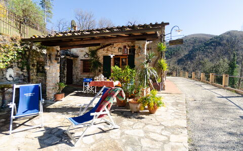 Le Piane: Plante, Himmel, Bygning, Ejendom, Skygge, Træ, Landdistrikt, Udendørs Møbler, Vindue, Kvarter